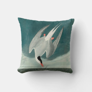 Arctic Tern Audubon Bird Wildlife Painting Cushion