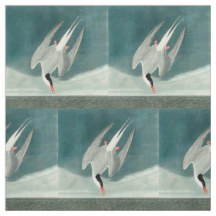 Arctic Tern Audubon Bird Wildlife Painting Fabric