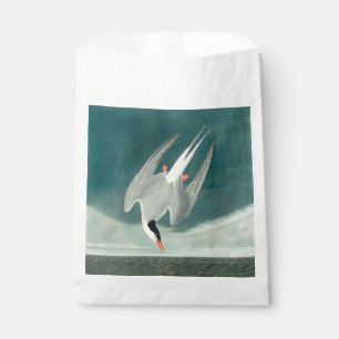 Arctic Tern Audubon Bird Wildlife Painting Favour Bag
