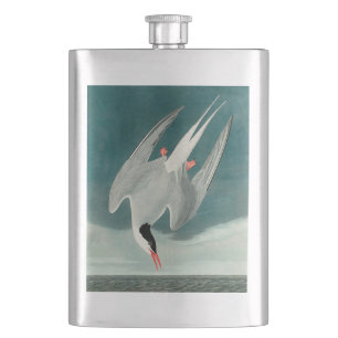 Arctic Tern Audubon Bird Wildlife Painting Hip Flask