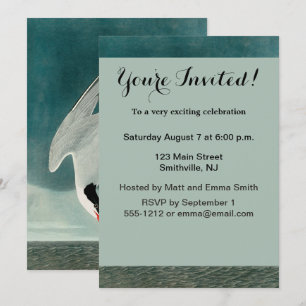 Arctic Tern Audubon Bird Wildlife Painting Invitation