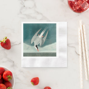 Arctic Tern Audubon Bird Wildlife Painting Napkin