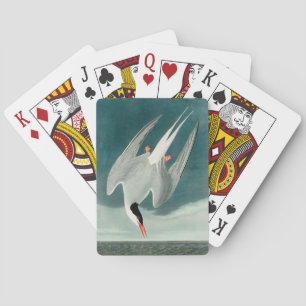 Arctic Tern Audubon Bird Wildlife Painting Playing Cards