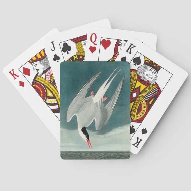Arctic Tern Audubon Bird Wildlife Painting Playing Cards (Back)