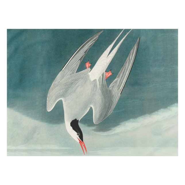 Arctic Tern Audubon Bird Wildlife Painting Tablecloth (Front (Horizontal))