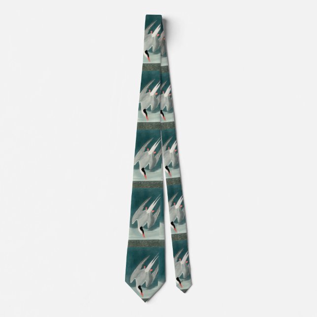 Arctic Tern Audubon Bird Wildlife Painting Tie (Front)