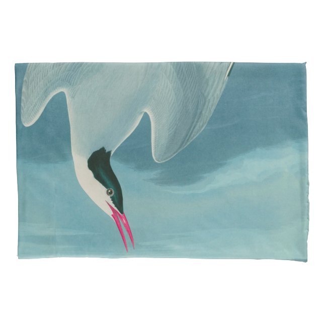 Arctic Tern Birds of America Audubon Print Pillowcase (Front)