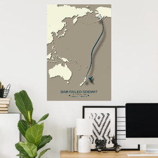 Arctic Tern Migration Map – Minimalist Vintage Poster