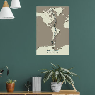 Arctic Tern Migration Map – Minimalist Vintage Poster