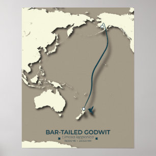 Arctic Tern Migration Map – Minimalist Vintage Poster