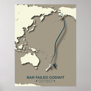 Arctic Tern Migration Map – Minimalist Vintage Poster