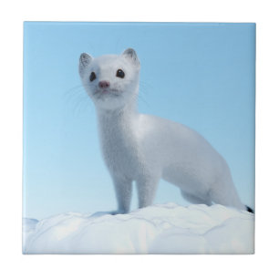 Arctic Weasel Charm Ceramic Tile