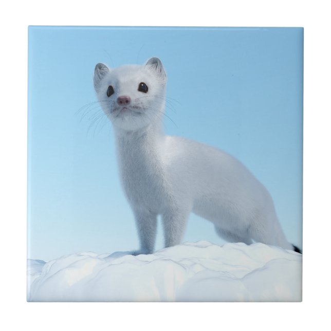 Arctic Weasel Charm Ceramic Tile (Front)