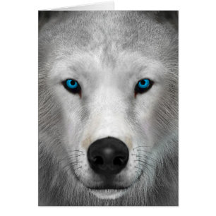 Arctic Wolf