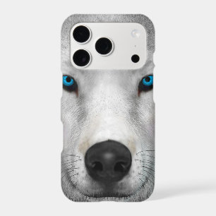 Arctic Wolf