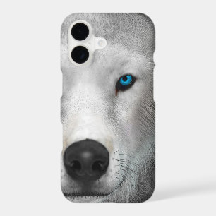 Arctic Wolf