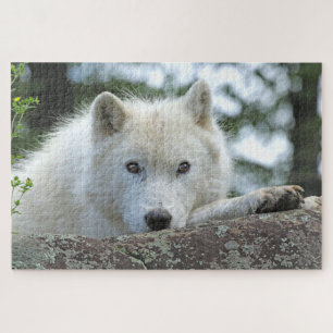 ARCTIC WOLF 20x30 INCH Jigsaw Puzzle