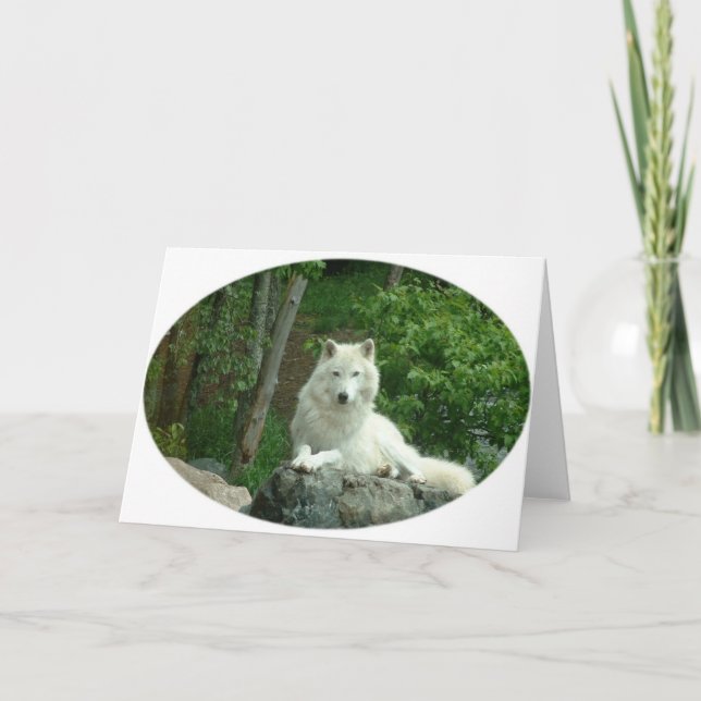 Arctic Wolf Greeting Card (Front)