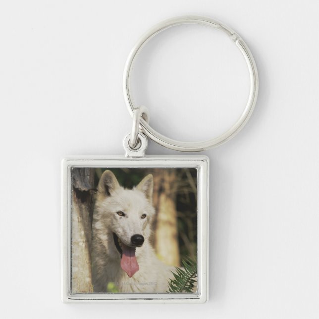 Arctic wolf in forest key ring (Front)
