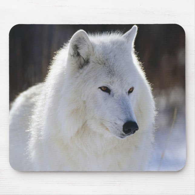 Arctic Wolf Mouse Pad (Front)