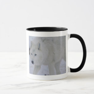 Arctic Wolf Mug