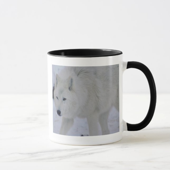 Arctic Wolf Mug (Right)