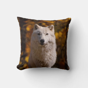 Arctic Wolf On Rock Cushion