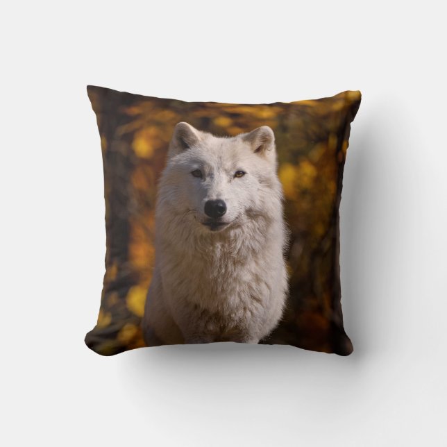 Arctic Wolf On Rock  Cushion (Front)