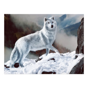 Arctic Wolf Photo Print