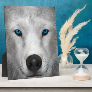 Arctic Wolf Plaque