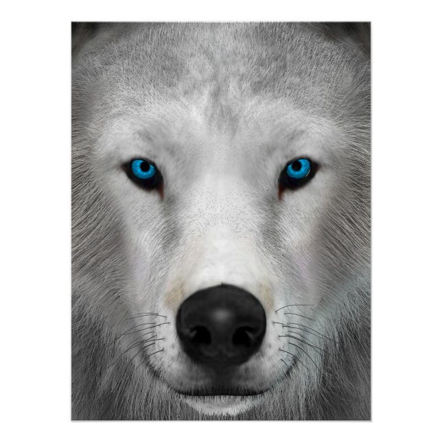 Arctic Wolf Poster (Front)