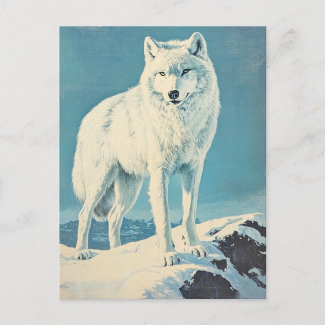 Arctic wolf vintage postcard (Front)