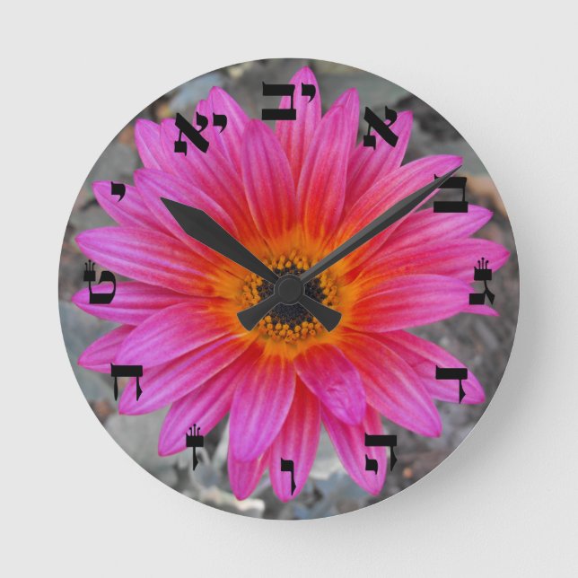 Arctotis - African Daisy - Hebrew Block Lettering Round Clock (Front)