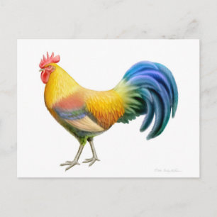 Ardenner Rooster Postcard