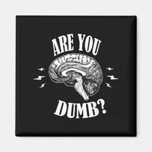 Are Dumb Funny Quotes Sayings Sarcasm Sarcastic Magnet