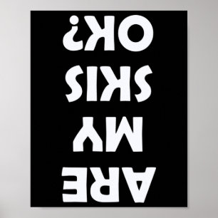 Are My Skis Ok  Poster