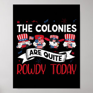 Are Quite Rowdy Independence Day Funny 4th Of July Poster
