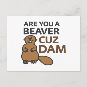 Are You A Beaver Cuz Dam Postcard
