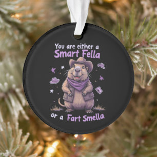 Are You a Smart Fella or a Fart Smella Funny  Ornament