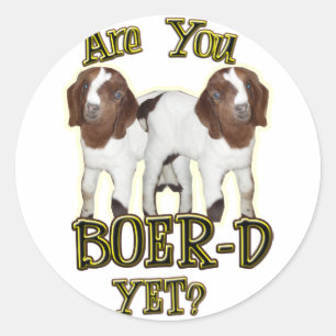 ARE YOU BOER-D YET? BOER GOATS CLASSIC ROUND STICKER