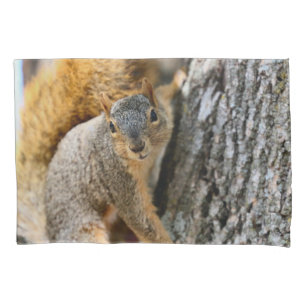 Are you coming  pillowcase