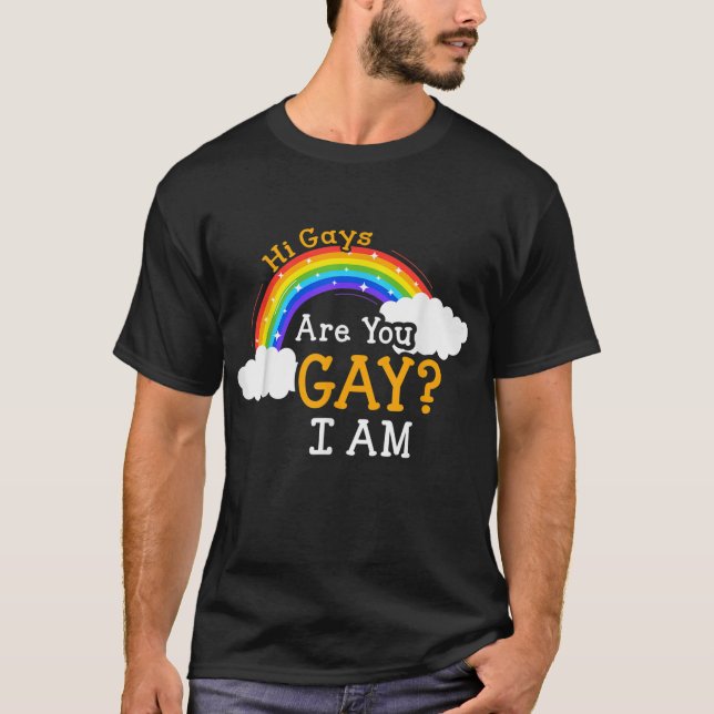Are You Gay Tee Hi Gays Are You Gay I Am LGBT  (Front)