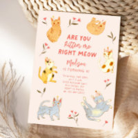 Are You Kitten Me Cat Birthday