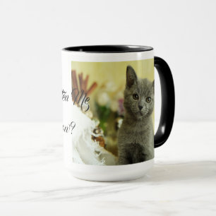 Are You Kitten Me Cat Pet Meow Destiny Destiny'S Mug