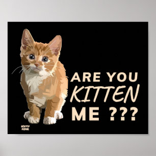 "ARE YOU KITTEN ME" funny cute cat Poster