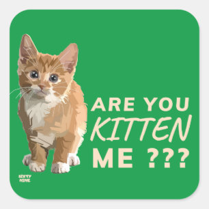 "ARE YOU KITTEN ME" funny cute cat Square Sticker