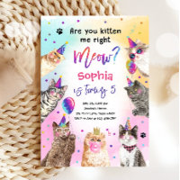 Are You Kitten Me Meow Cat Girl Birthday