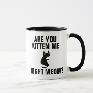 ARE YOU KITTEN ME RIGHT MEOW CAT COFFEE MUGS