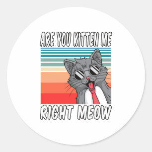 Are You Kitten Me Right Meow Classic Round Sticker