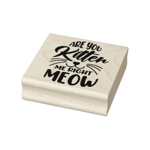 Are You Kitten Me Right Meow  Rubber Stamp